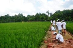 CFW-participants-doing-road-constrcution-in-the-host-community_01