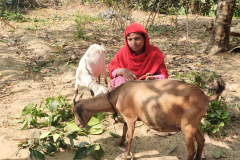IGA-participant-in-the-host-community