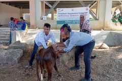 Livestock-Vaccination-campaign