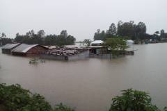 Flood in Bangladesh 2017