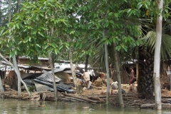 A adivasi village damaged earth house001